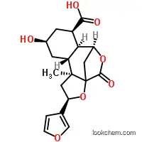 Molecular Structure of 20086-07-1 (Diosbulbin C)